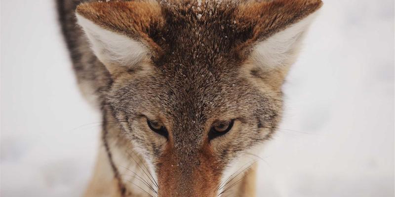 守护成长空间:深度解读江苏学校装修安全标准与防护设计