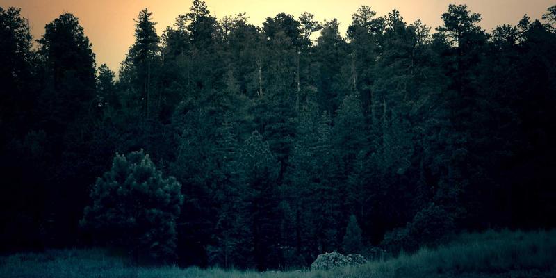 常州老房翻新改造全攻略:避开三大误区,精准规划家装与工装预算