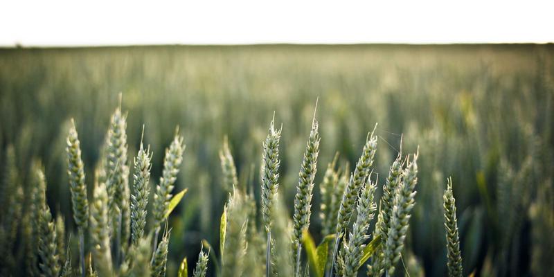 江苏大型商业综合体装修项目管理实战:多业态并行下的工期、成本与质量平衡术