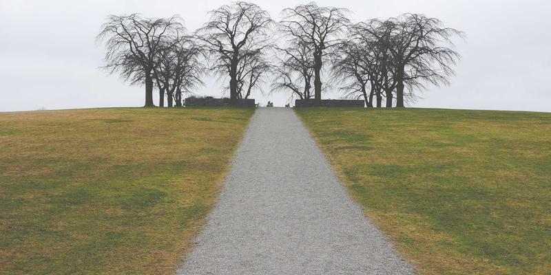 江苏装配式内装技术如何重塑养老空间？揭秘工装设计中的人性化革命